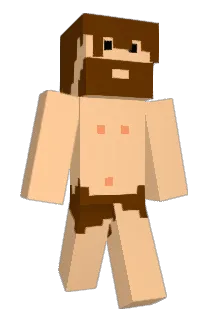 DAiNiUS Minecraft avatar full body