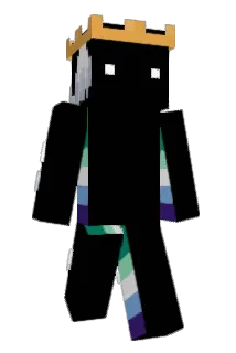 DBZ_MIKEY Minecraft avatar full body
