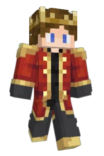 DBerch Minecraft avatar full body