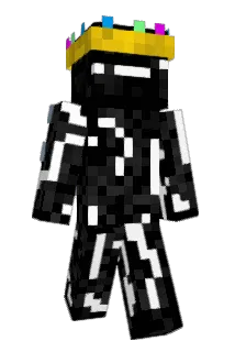 DCONYT Minecraft avatar full body