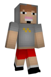 DChat_ Minecraft avatar full body
