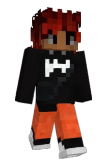 DD223 Minecraft avatar full body