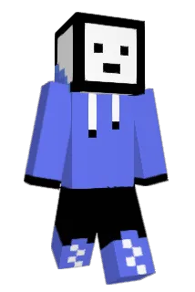 DD8877 Minecraft avatar full body