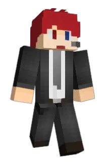DDDDDN Minecraft avatar full body