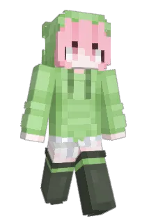 DDGW Minecraft avatar full body