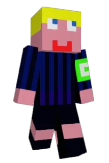 DDH2706 Minecraft avatar full body