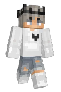 DDHOUSTON Minecraft avatar full body