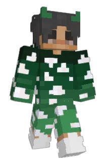 DDIF Minecraft avatar full body