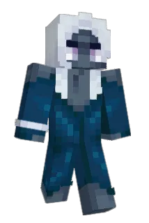 DDONULD Minecraft avatar full body