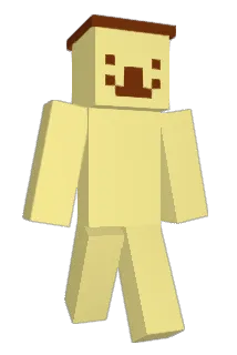DDOYI Minecraft avatar full body