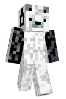 DDTin Minecraft avatar full body