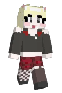 DDUN_ Minecraft avatar full body