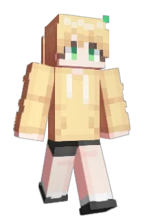 DDU_DDA09 Minecraft avatar full body