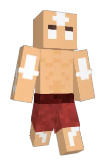 DD_MM_YY Minecraft avatar full body