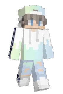 DD_T2 Minecraft avatar full body