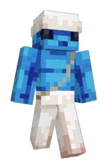 DELHUS Minecraft avatar full body