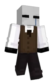 DENMANbg07 Minecraft avatar full body