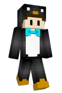 DENY001001 Minecraft avatar full body
