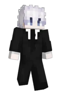 DETS01 Minecraft avatar full body