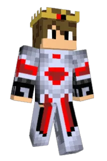 DFA21 Minecraft avatar full body