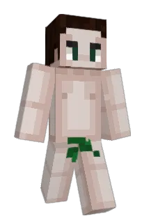 DFSxHunter Minecraft avatar full body