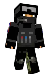 DF_60 Minecraft avatar full body