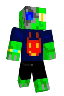 DG001 Minecraft avatar full body