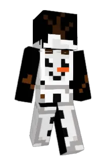 DG11x Minecraft avatar full body