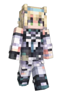 DGBCA Minecraft avatar full body