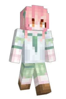 DGCK81LNN Minecraft avatar full body