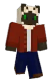 DGI139 Minecraft avatar full body