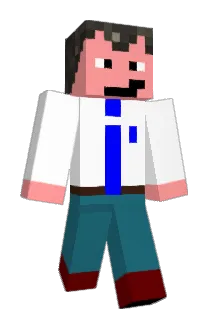 DG_2992 Minecraft avatar full body