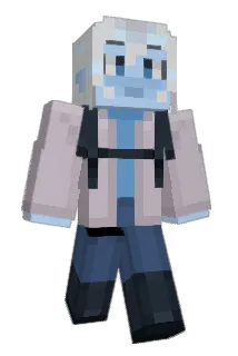 DHC_Q400 Minecraft avatar full body