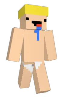 DHF1112 Minecraft avatar full body