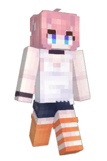 DIDABAKA Minecraft avatar full body