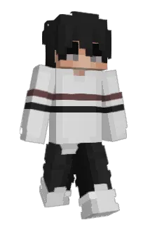 DIDI1022 Minecraft avatar full body