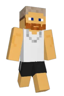 DIFINDER Minecraft avatar full body