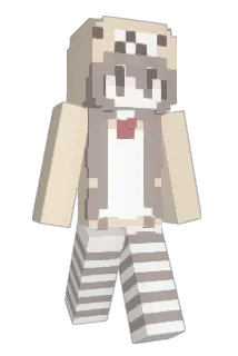 DINGJIAN47 Minecraft avatar full body