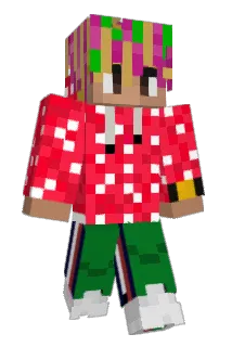 DINGLE12345 Minecraft avatar full body