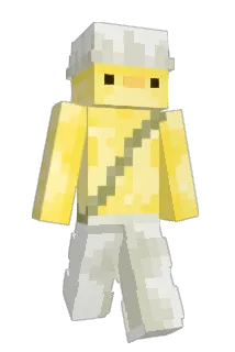 DINGV1 Minecraft avatar full body