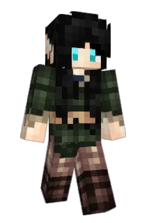 DIYWNB Minecraft avatar full body