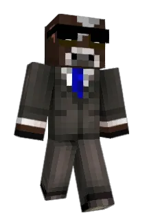 DJ33733 Minecraft avatar full body