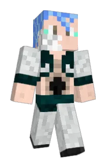 DJBard Minecraft avatar full body