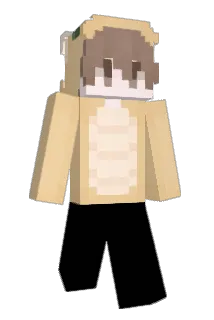 DJDominater Minecraft avatar full body