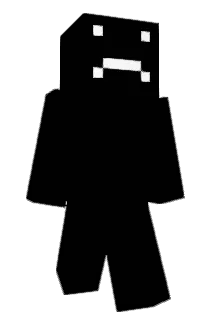 DJE111 Minecraft avatar full body