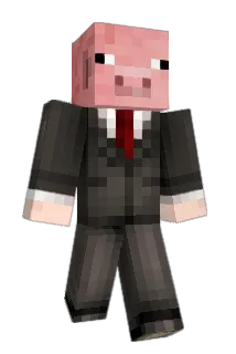 DJF7302 Minecraft avatar full body