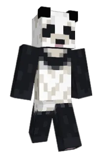 DJFlocke2 Minecraft avatar full body