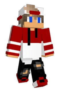 DJP1743 Minecraft avatar full body