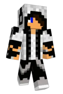 DJSUSG Minecraft avatar full body