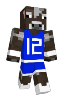 DJWilliams Minecraft avatar full body